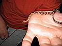 IMG_0004.JPG