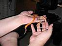 IMG_0137.JPG