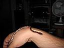 IMG_0148.JPG