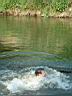 Dscf0036.jpg