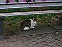 IMG_0135.JPG