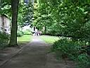 IMG_0140.JPG