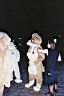 imm002_15.jpg