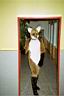 005_03A.jpg