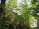 IMG_0135.JPG