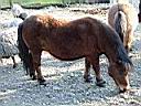 IMAG0339.JPG
