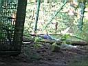 IMG_0065.JPG