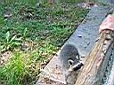 IMG_0074.JPG