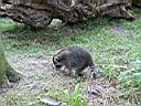 IMG_0075.JPG