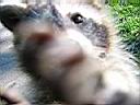 IMG_0080.JPG