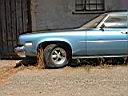 DSCF20041.JPG